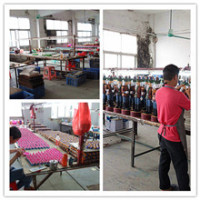 Dongguan Longtu Crafts Co., Ltd.