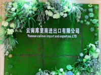 Yunnan Culinan Import And Export Co., Ltd.