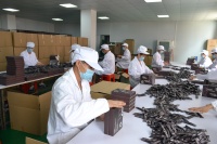 Guangzhou Tingjia Foodstuff Co., Ltd.