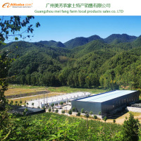Guangzhou Meifang Farm Local Products Sales Co., Ltd.