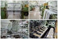 Guangzhou Eyoung Textile Co., Ltd.
