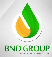 Bnd International Group Limited